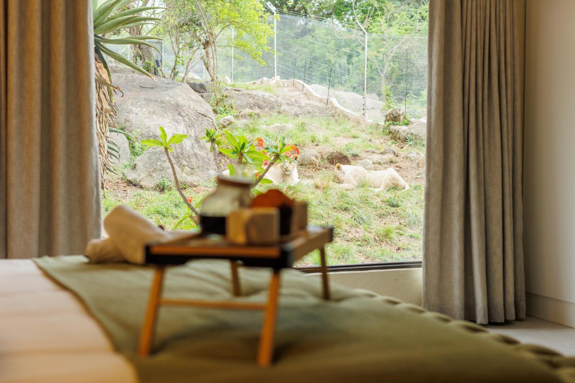 Pumbaa Wildlife Park & Accommodation Mbombela Extérieur photo